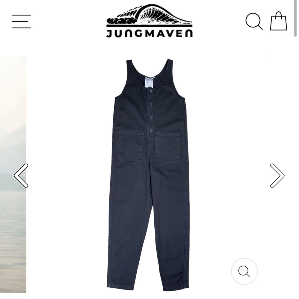 Jungmaven button front jumper